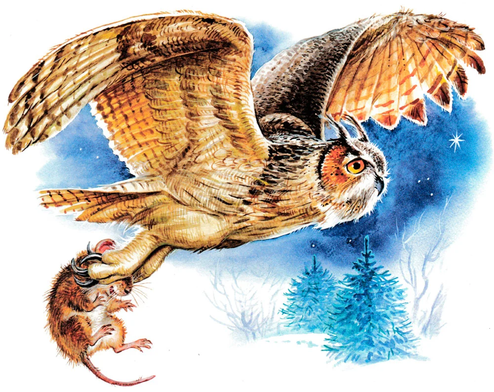 Сова несет мышонка в когтях