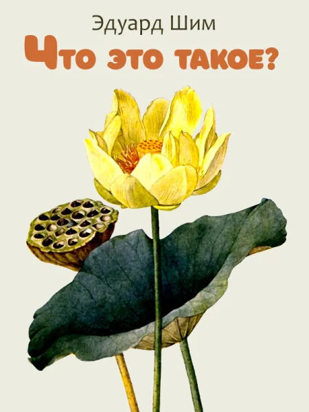 Что это такое?