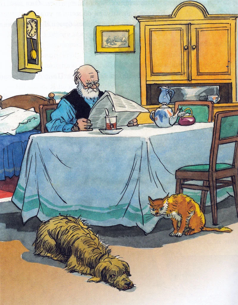 Барбоска, кот и дедушка