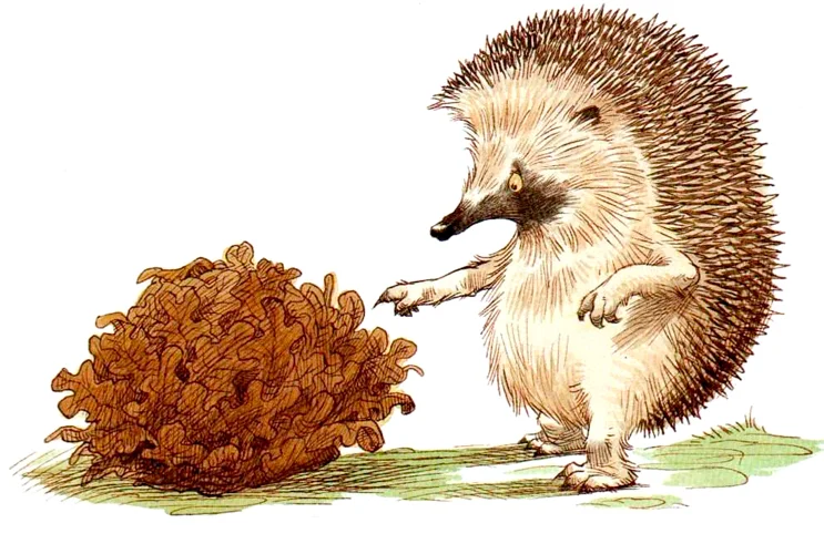 Ежик смотрит на листья