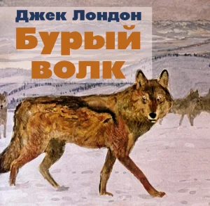 Бурый волк