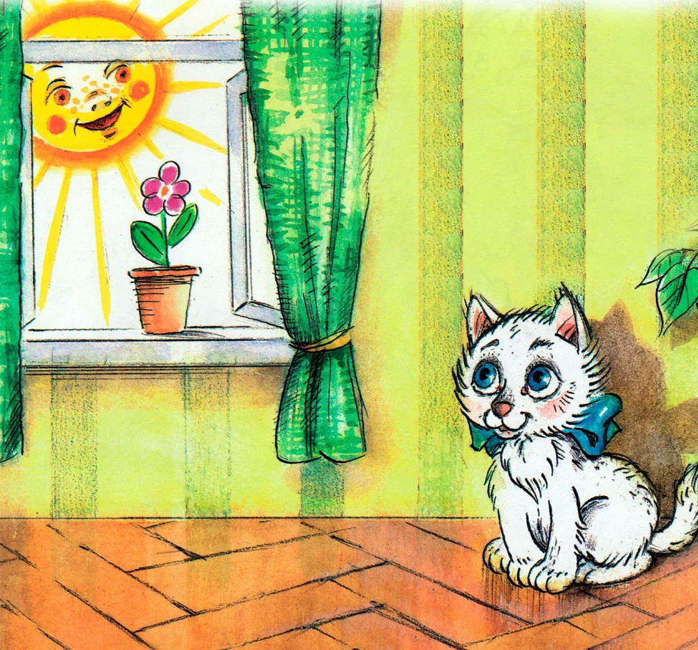 Котенок и солнышко