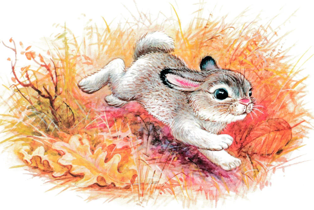 Зайчонок убегает в лес