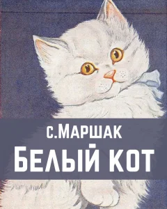 Белый кот