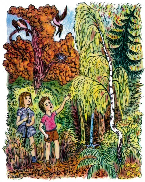 Как найти дорожку