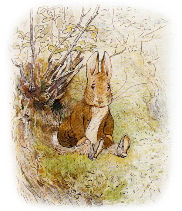 Кролик сидит в ботиночках