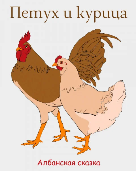 Петух и курица