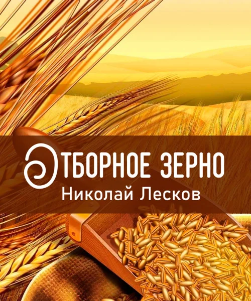 Отборное зерно