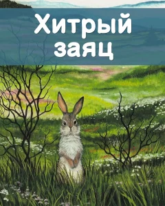 Хитрый заяц