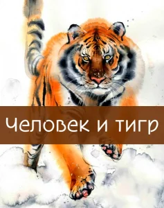 Человек и тигр