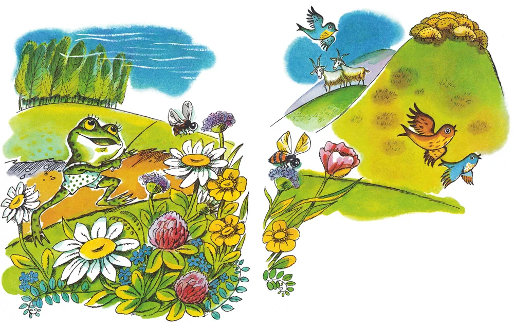 Лягушонок в поле