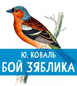 Бой зяблика