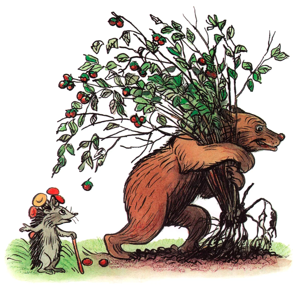 Медведь ушел с кустом