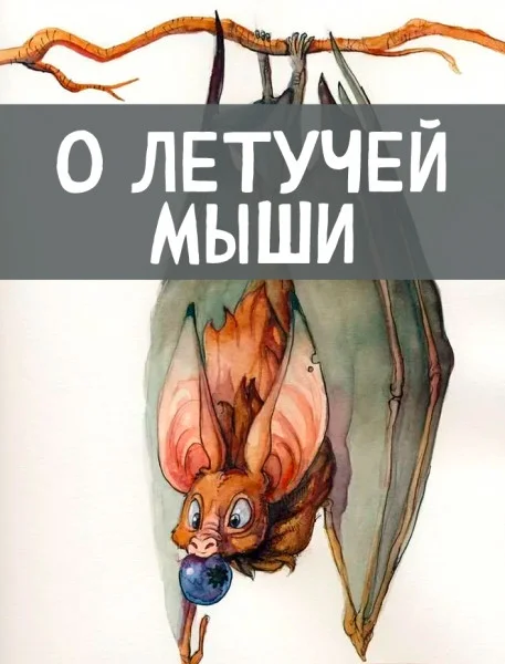 О летучей мыши