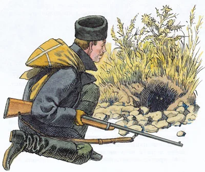 Охотник и нора