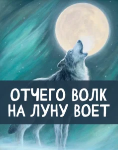 Отчего волк на Луну воет