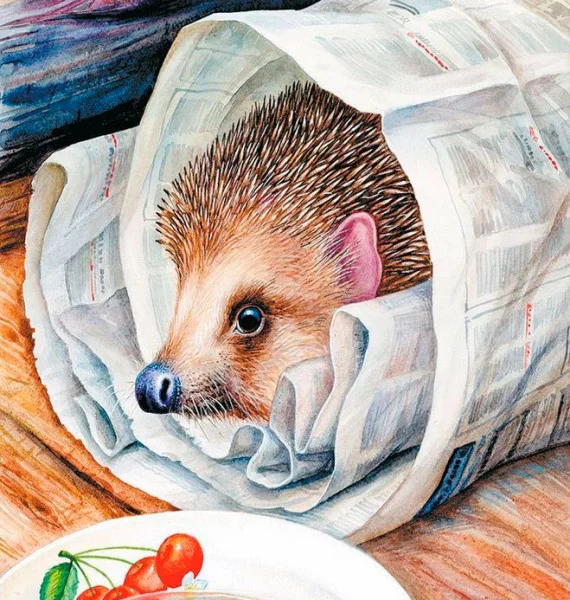 Ёж