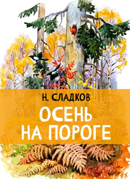 Осень на пороге
