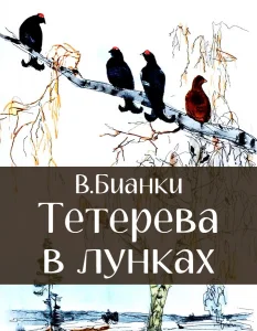 Тетерева в лунках