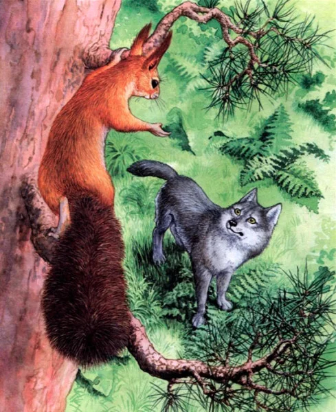 Белка и волк