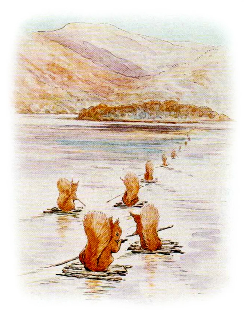 Бельчата переплывают реку