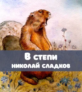 В степи