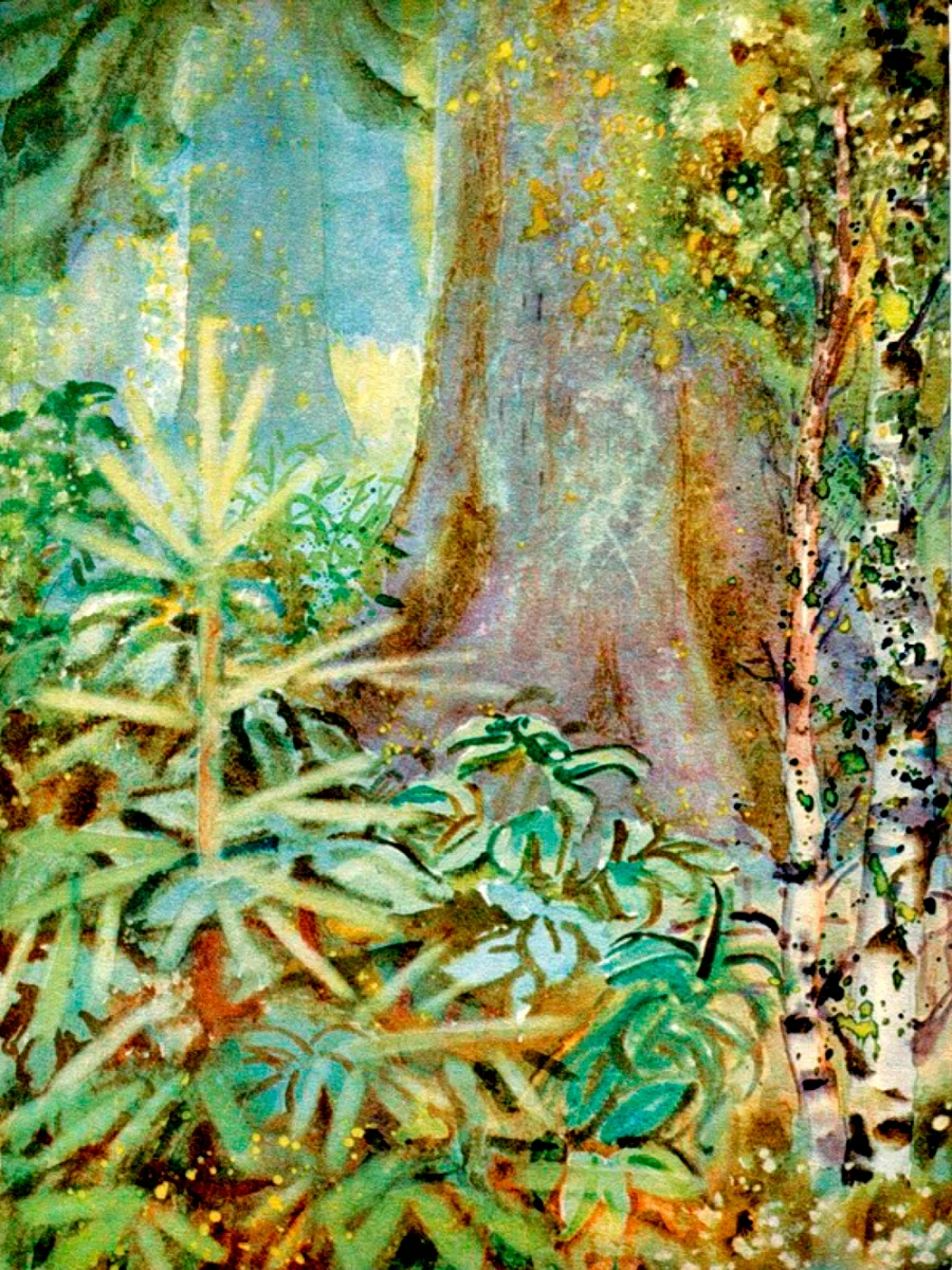 Таинственный лес