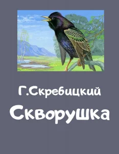 Скворушка