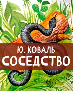 Соседство