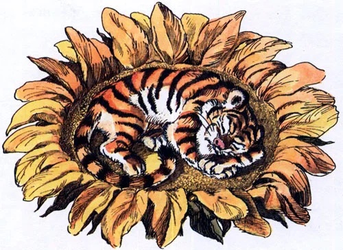 Сказка про тигрёнка на подсолнухе - картинка 9