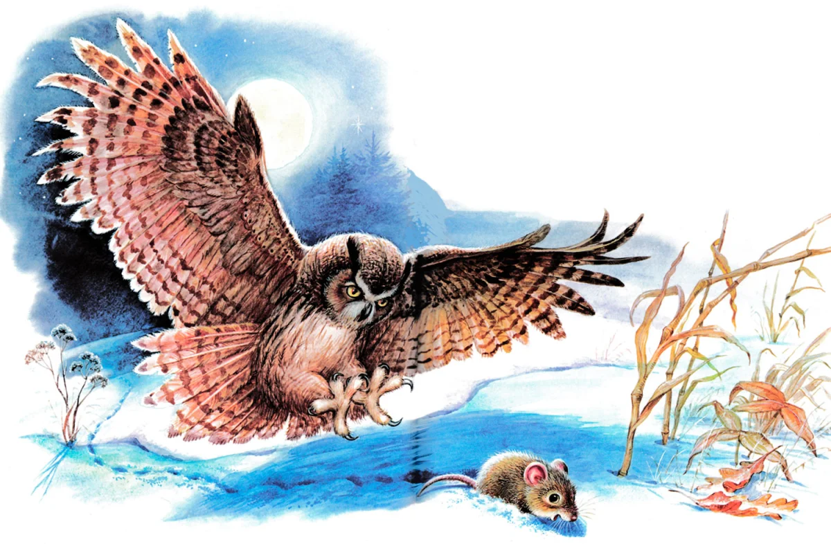 Сова ловит мышонка