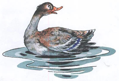 Серая шейка - картинка 3