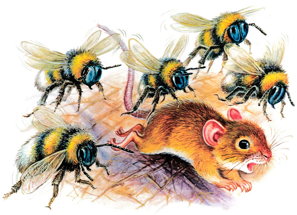 Мышонок пик убегает от шмелей