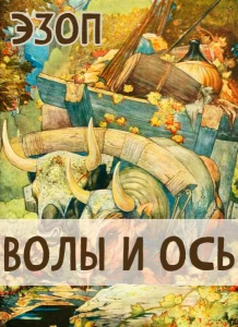 Волы и ось