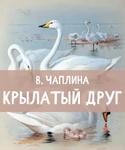 Крылатый друг