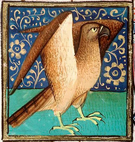 Орёл и лиса