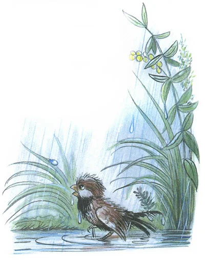 Сказка под грибом, фото 6