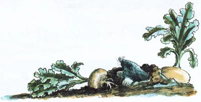 Крот вылез из земли