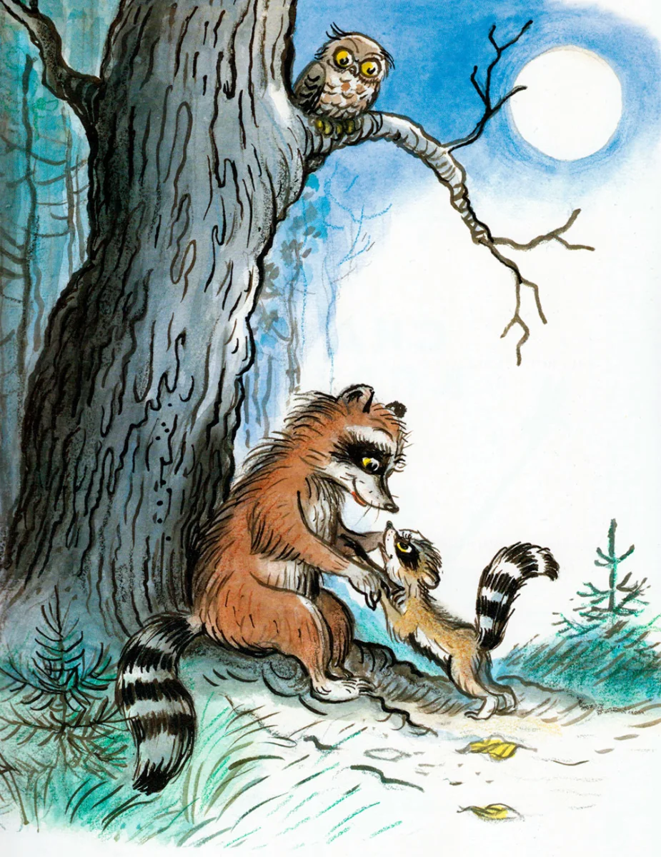 Крошка енот и мама