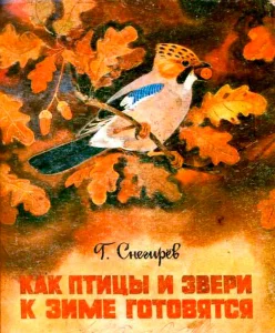 Как птицы и звери к зиме готовятся