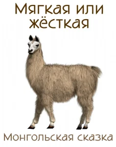 Мягкая или жёсткая