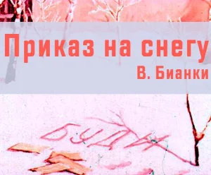 Приказ на снегу