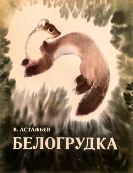 Белогрудка
