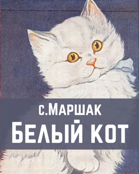 Белый кот