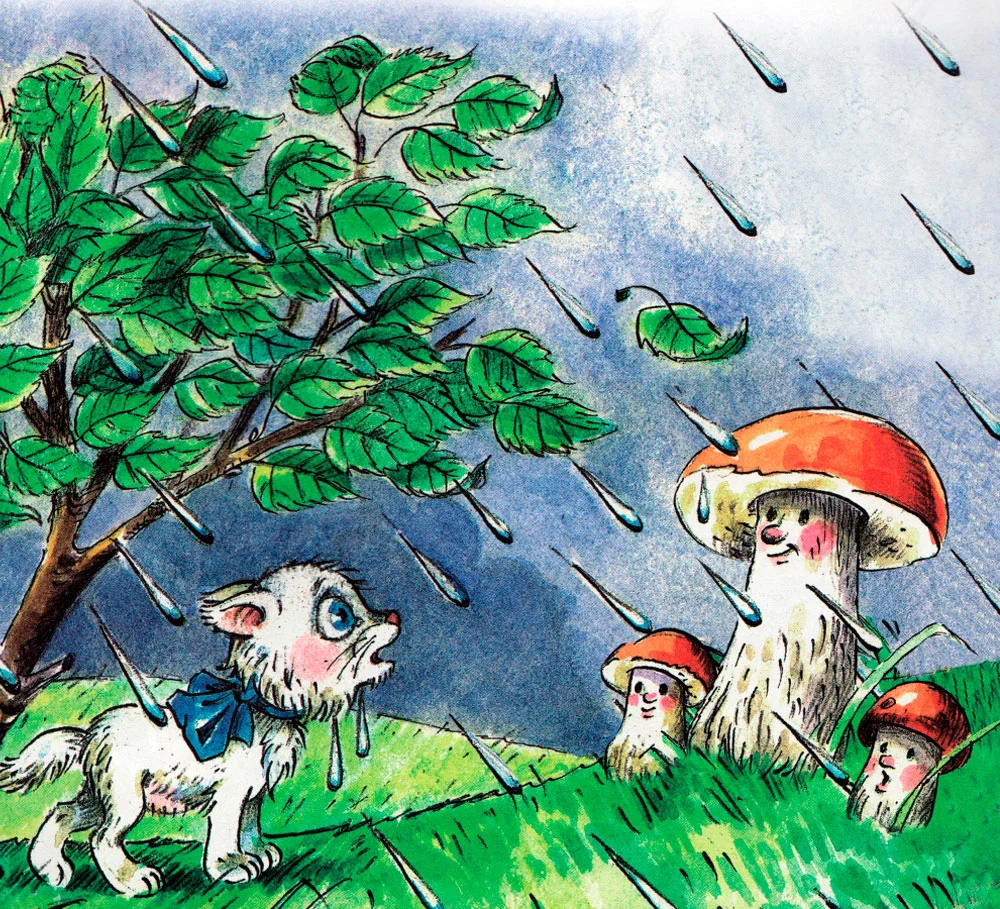 Котенок увидел грибы