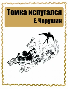 Томка испугался