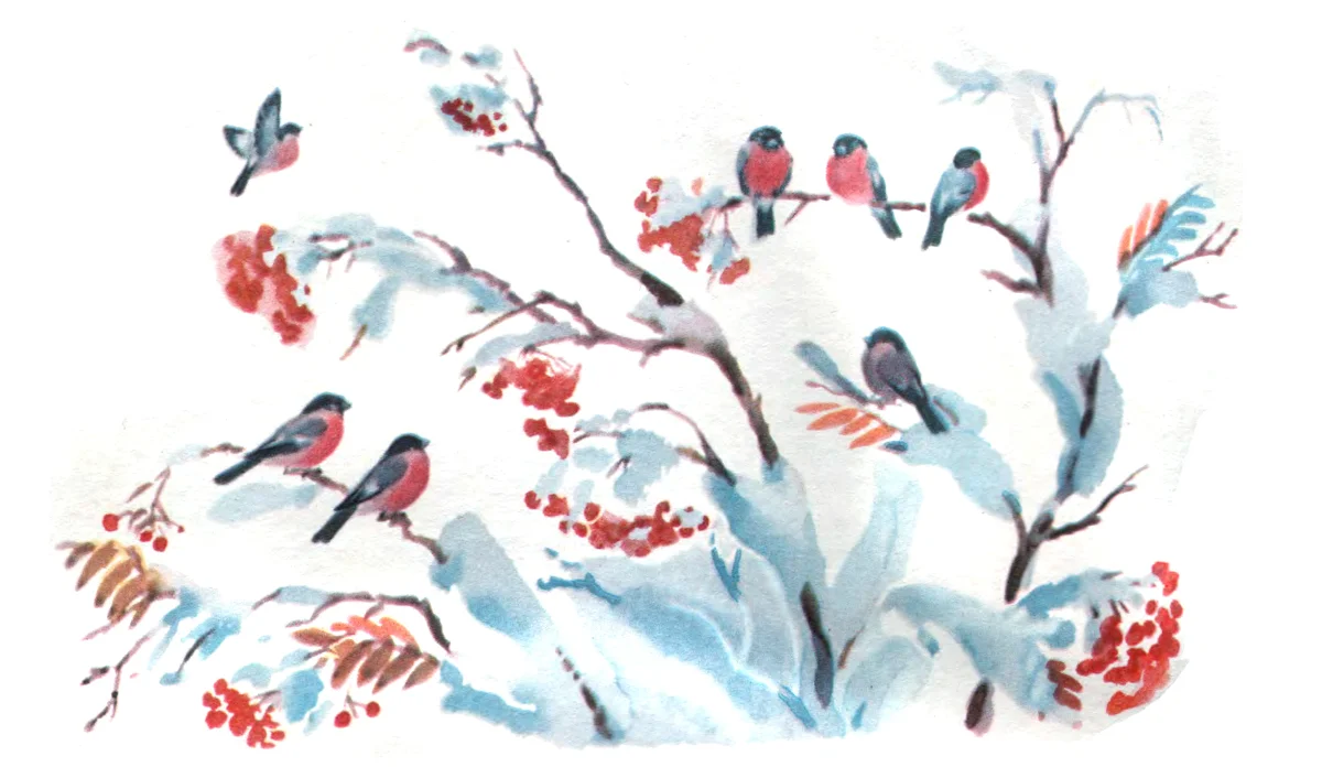 Птички на рябине