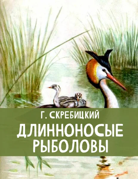 Длинноносые рыболовы