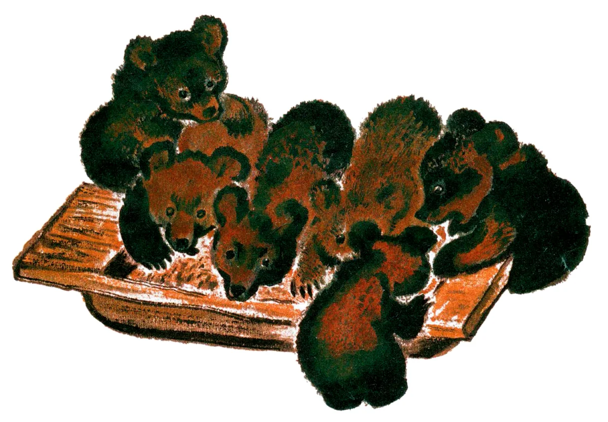 Мишки у большой миски