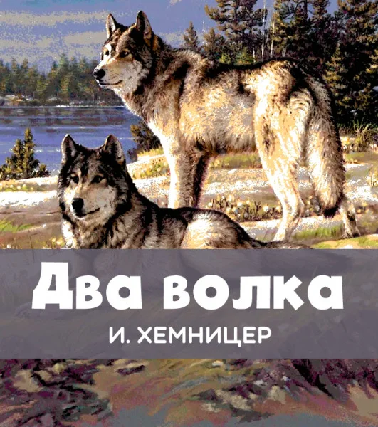 Два волка